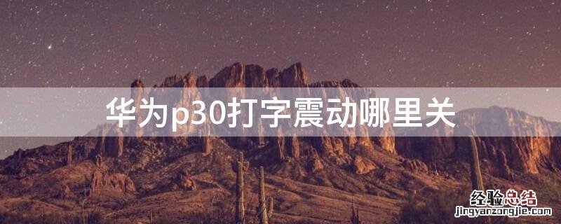 华为p30打字震动哪里关