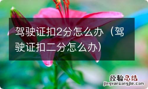 驾驶证扣二分怎么办 驾驶证扣2分怎么办
