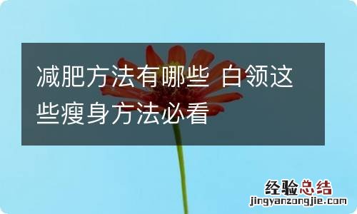 减肥方法有哪些 白领这些瘦身方法必看