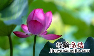 六月的别称哪个最美 楚辞十二个月的雅称
