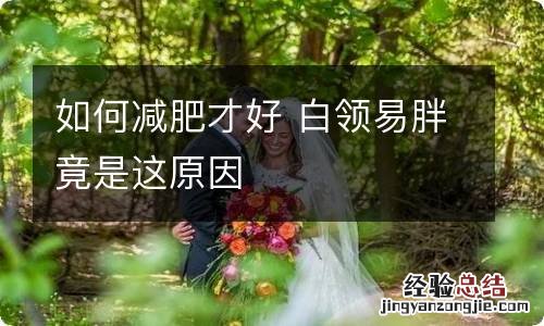 如何减肥才好 白领易胖竟是这原因