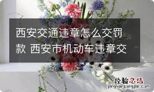 西安交通违章怎么交罚款 西安市机动车违章交罚款在什么地方