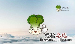 电脑大白菜怎么使用 重装系统的大白菜怎么用？