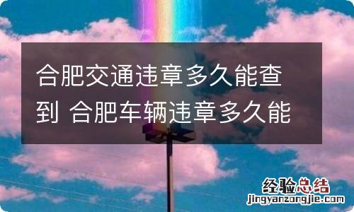 合肥交通违章多久能查到 合肥车辆违章多久能查到