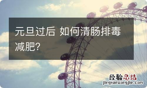 元旦过后 如何清肠排毒减肥？