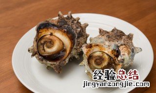 海螺怎么清洗内脏 海螺怎么清洗里面的脏东西