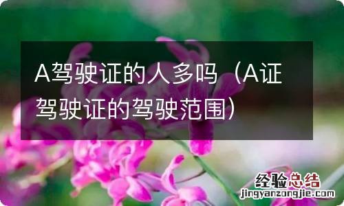 A证驾驶证的驾驶范围 A驾驶证的人多吗