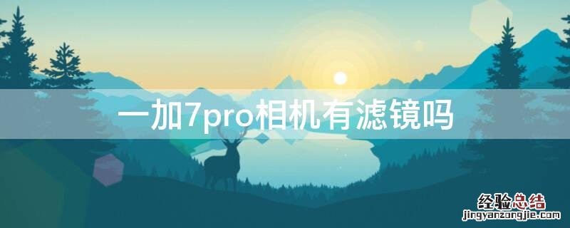 一加7pro相机有滤镜吗