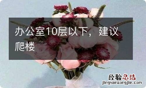 办公室10层以下，建议爬楼
