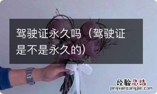 驾驶证是不是永久的 驾驶证永久吗