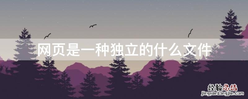 不是有效的单个文件网页是什么意思 网页是一种独立的什么文件