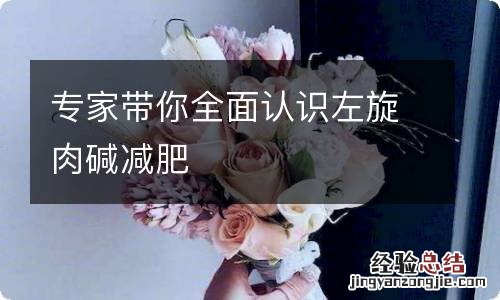 专家带你全面认识左旋肉碱减肥