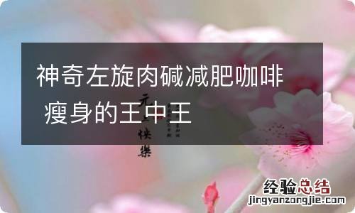 神奇左旋肉碱减肥咖啡 瘦身的王中王