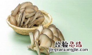 种植蘑菇需要哪些材料和准备 种植蘑菇都需要什么材料