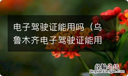 乌鲁木齐电子驾驶证能用吗 电子驾驶证能用吗