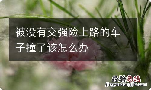 被没有交强险上路的车子撞了该怎么办