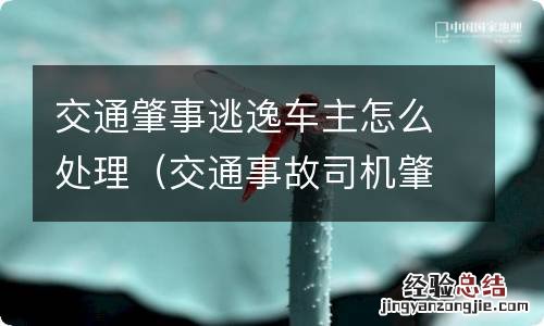 交通事故司机肇事逃逸,车主如何处理 交通肇事逃逸车主怎么处理