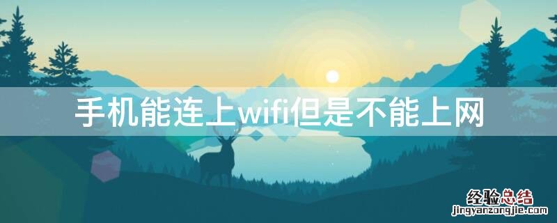 手机能连上wifi但是不能上网