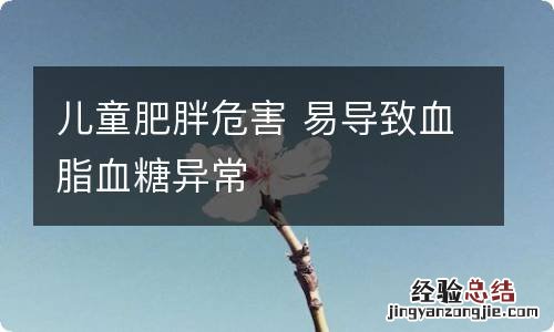 儿童肥胖危害 易导致血脂血糖异常
