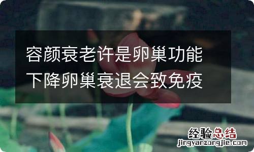 容颜衰老许是卵巢功能下降卵巢衰退会致免疫力低下