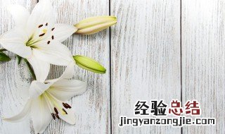 花粉怎么洗掉妙招 花粉怎么清洗