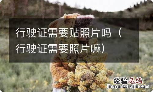 行驶证需要照片嘛 行驶证需要贴照片吗
