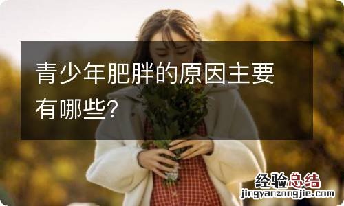 青少年肥胖的原因主要有哪些？