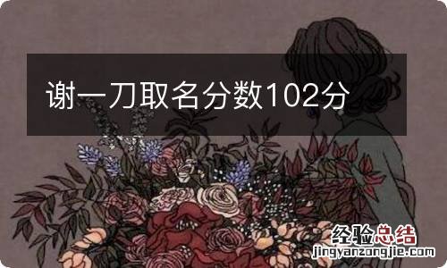 谢一刀取名分数102分