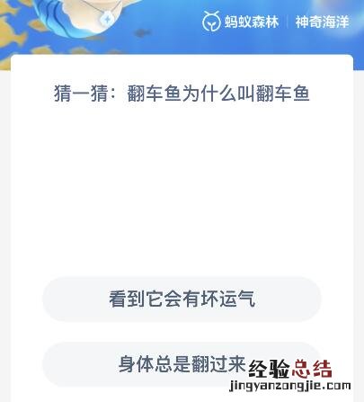 翻车鱼为什么叫翻车鱼 什么是翻车鱼?