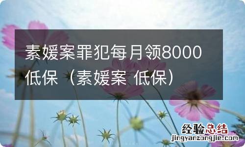 素媛案 低保 素媛案罪犯每月领8000低保