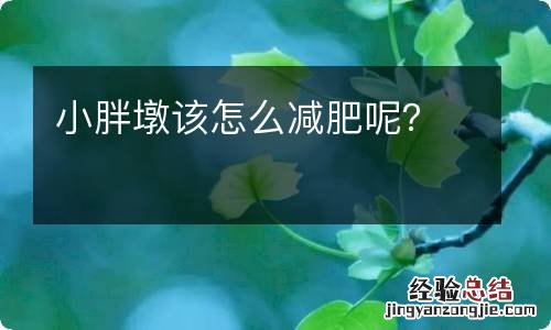 小胖墩该怎么减肥呢？