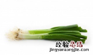 大葱可以放冰箱冷冻吗 大葱能不能放冰箱冷冻里保鲜