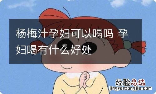 杨梅汁孕妇可以喝吗 孕妇喝有什么好处