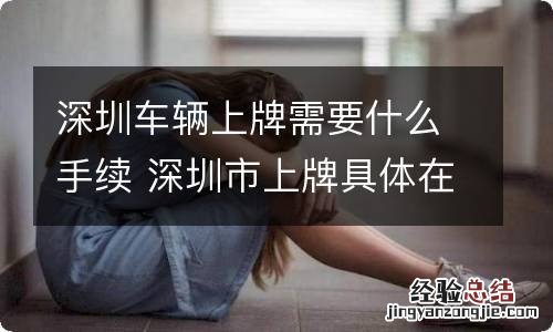 深圳车辆上牌需要什么手续 深圳市上牌具体在哪个车管所办