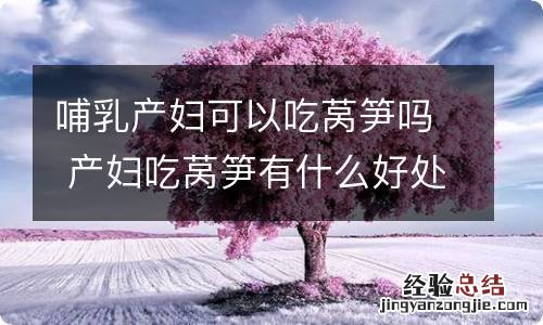 哺乳产妇可以吃莴笋吗 产妇吃莴笋有什么好处
