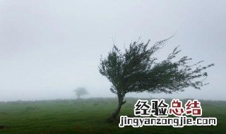 4到5级风可以出门吗 刮4到5级风能不能出门