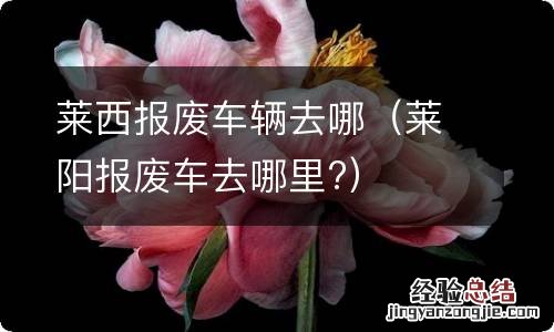 莱阳报废车去哪里? 莱西报废车辆去哪
