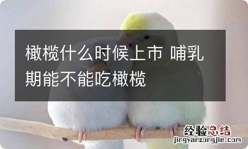 橄榄什么时候上市 哺乳期能不能吃橄榄