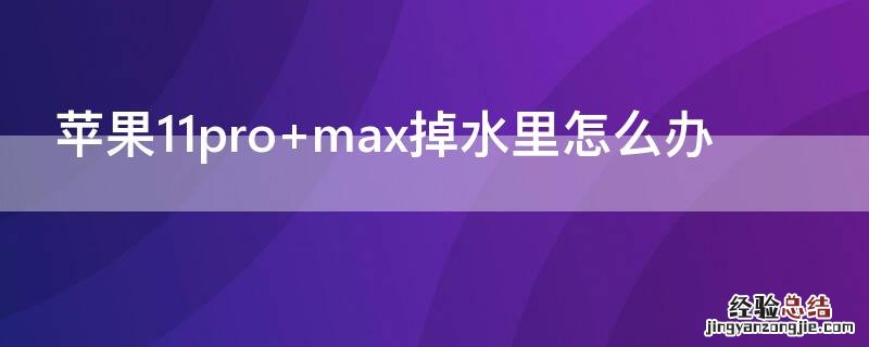 iPhone11pro max掉水里怎么办