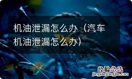 汽车机油泄漏怎么办 机油泄漏怎么办