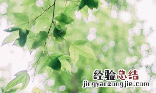 小清新简短网名 小清新简短网名男