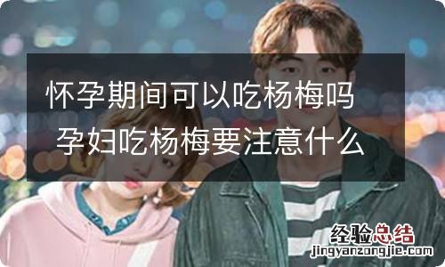 怀孕期间可以吃杨梅吗 孕妇吃杨梅要注意什么