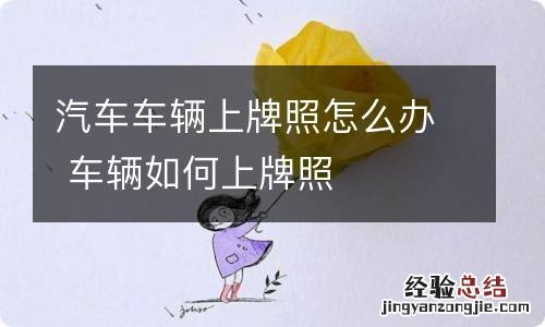 汽车车辆上牌照怎么办 车辆如何上牌照