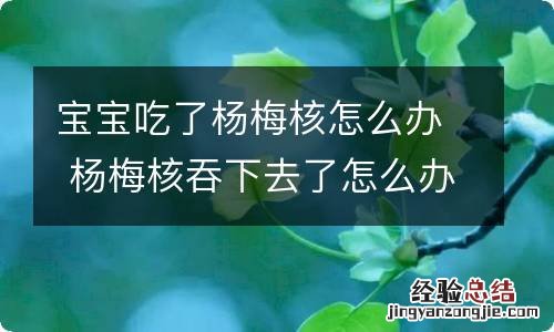 宝宝吃了杨梅核怎么办 杨梅核吞下去了怎么办