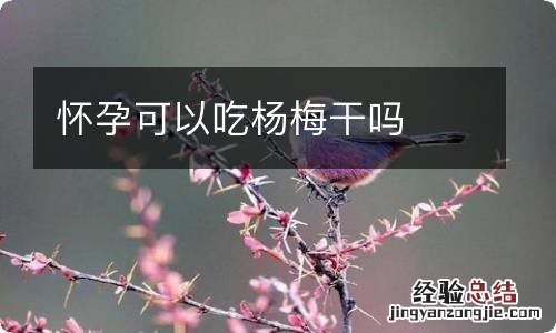 怀孕可以吃杨梅干吗