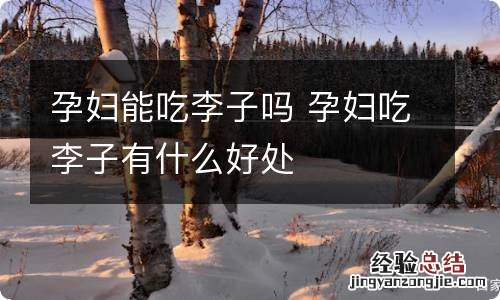 孕妇能吃李子吗 孕妇吃李子有什么好处