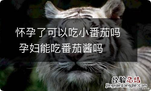 怀孕了可以吃小番茄吗 孕妇能吃番茄酱吗
