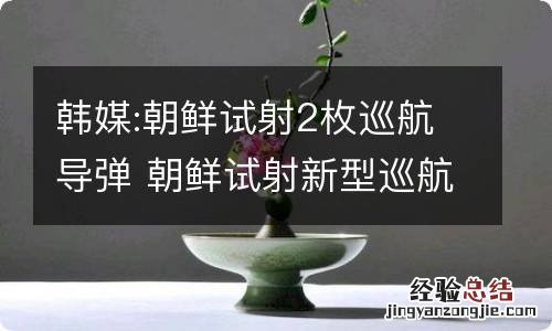 韩媒:朝鲜试射2枚巡航导弹 朝鲜试射新型巡航导弹