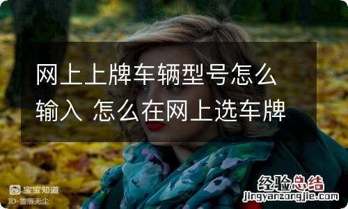 网上上牌车辆型号怎么输入 怎么在网上选车牌号