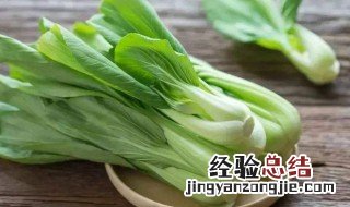 小白菜属于十字花科吗 小白菜属于十字花科吗还是草科